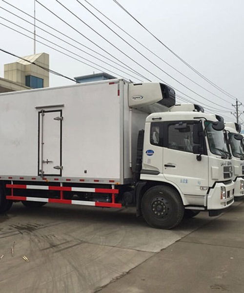 上海至南昌冷鏈物流專線 專業冷藏運輸公司的服務解析與選擇指南